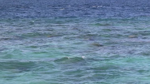 Blue ocean wave seamless looping Stock Footage 218394509