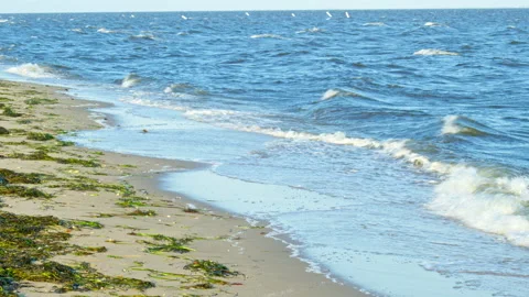 Blue Ocean Waves On a Beach 4K Stock Footage 156576712