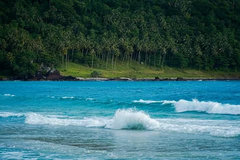 Blue ocean waves, behind it hill overgrown with coconut trees Stock Photos