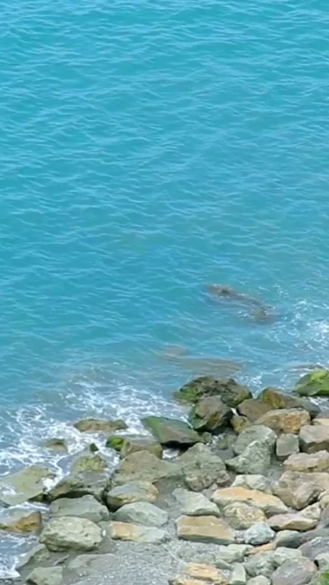 Blue ocean waves crash against rocky coastline turquoise water Stock Footage 334168819
