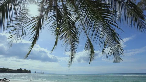 Blue ocean white sand beach nature tropical palms Island Stock Footage 132891507