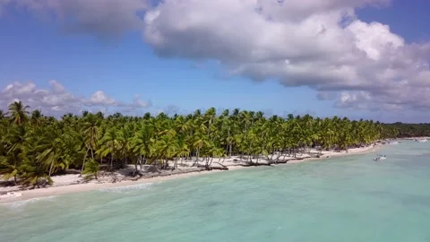 Blue ocean white sand beach nature tropical palms Island. Caribbean sea and sky Stock-Footage 167421995