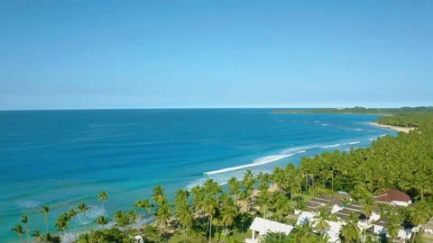 Blue ocean with white waves off the tropical palm coast. Stock Footage 170156237