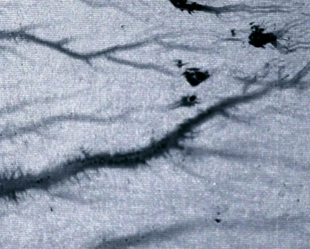 Blue Old Back Video stock 105026