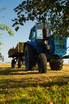A blue, old tractor with a trailer stands near a field in the village. Mornin Stock Photos