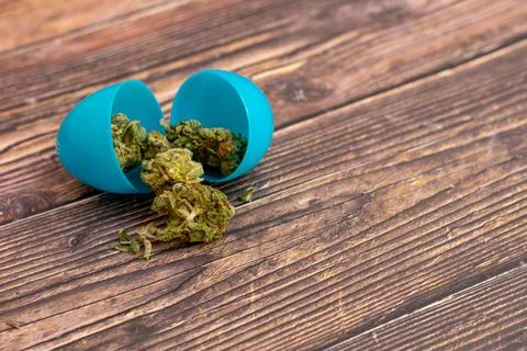 A Blue Open Easter Egg With Cannabis Coming Out of It Stock Photos