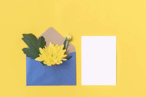 Blue open envelope with a white blank sheet of paper, mini bouquet of yellow Photos