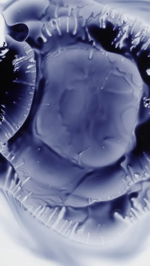 Blue organic cell structure, abstract macro Stock Footage 345002569