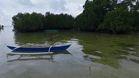 Blue Outrigger Boat Moored by Mangroves in Puerto Princesa Stock Footage 336302453