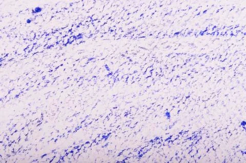 Blue paint Stock Photos