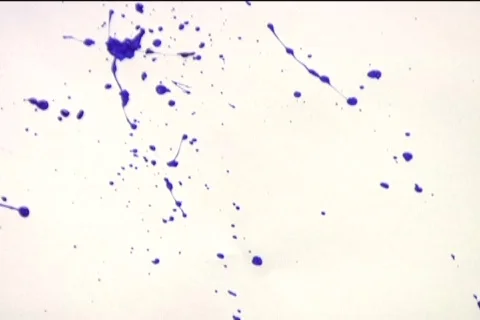 Blue Paint Splatter 2 Stock-Footage 527078