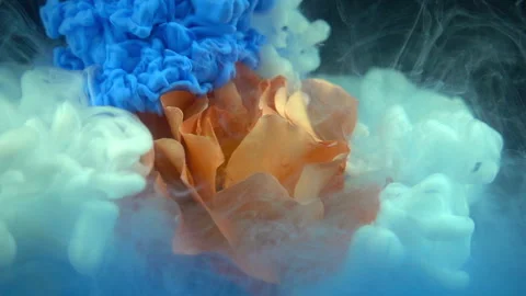 Blue Paint Surrounding Orange Flower Stock Footage 94334231