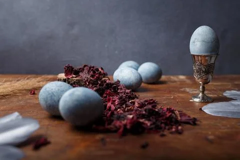 Blue painted easter eggs, one egg in egg cup, dry Hibiscus tea, silver feathers Stock Photos
