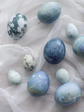 Blue painted easter eggs on white background Stock Photos