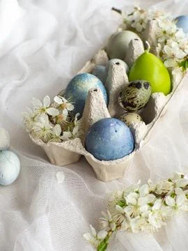 Blue painted easter eggs on white background Stock Photos