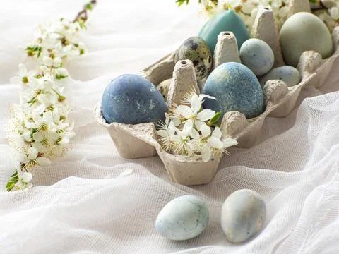 Blue painted easter eggs on white background Stock Photos