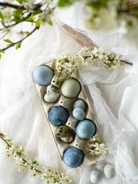 Blue painted easter eggs on white background Stock Photos