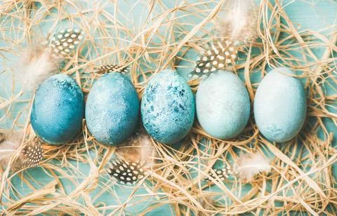 Blue painted traditional eggs for Easter holiday in row Stock Photos