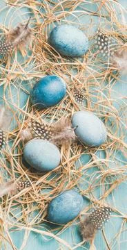 Blue painted traditional eggs for Easter in hay and feathers Stock Photos