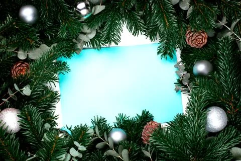 Blue paper with frame of pine tree Stock Photos