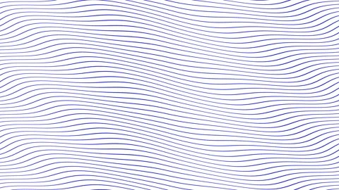 Blue parallel wave lines slow flowing animation on isolated white background. Stock Footage 202594070
