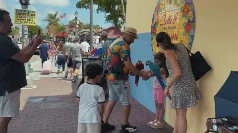 Blue Parrot Interaction on Street Corner Stock Footage 321748010