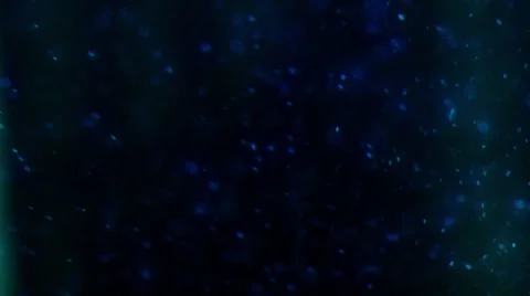 Blue Particle Bubbles Stock Footage 48230313