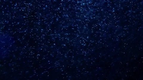 Blue Particles 1 Stock Footage 48221769