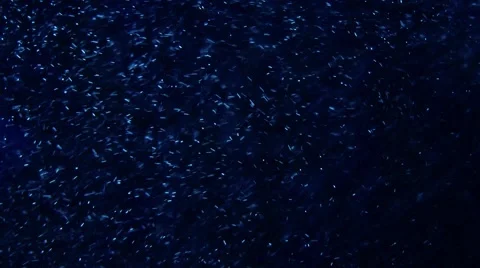 Blue Particles 2 Stock Footage 48222700