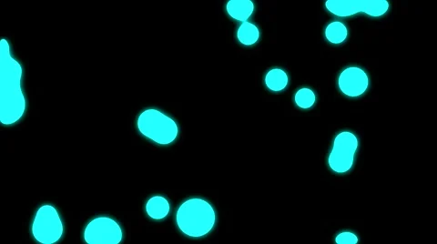 Blue particles on black backround Stock Footage 55283924