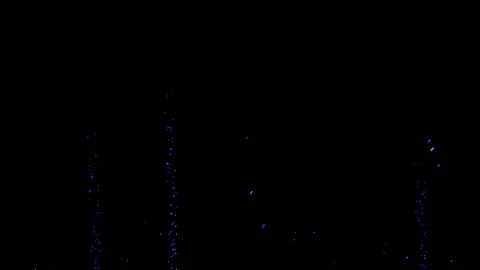 Blue Particles Bubbles on Black Background Stock-Footage 131332048