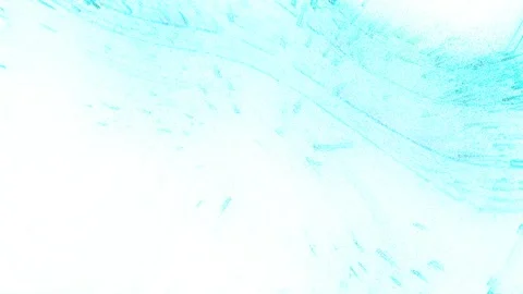 Blue particles, dots and curves on a white background 库存影片 263869148