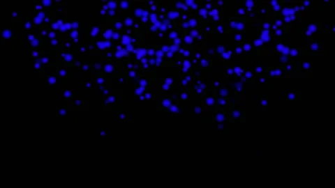 BLUE particles glowing on the black background. Black background with light p Stock Footage 218577737