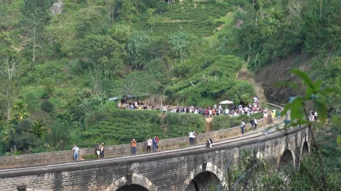 Blue passenger train is crossing over the Nine Arch Bridge nera Ella Stock Footage 171020716