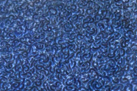 Blue pasta background Stock Photos