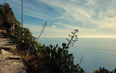 The blue path of the Cinque Terre. Foto stock