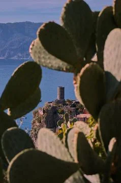 The blue path of the Cinque Terre. Stock Photos