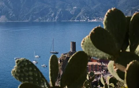 The blue path of the Cinque Terre. Stock Photos