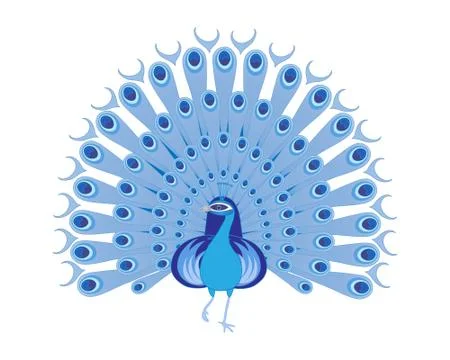 Blue peacock Stock Illustration