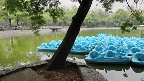 Blue Pedal Boats Clustered On Chapultepec Park Lake Mexico City Vídeos de archivo 344884779