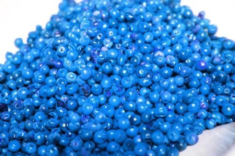 Blue Pepper Stock Photos
