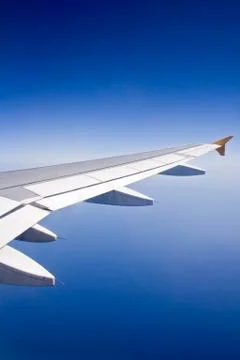 Into the Blue 스톡 사진