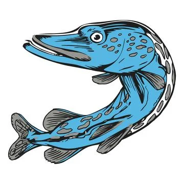 Blue Pike Fish Illustration Ilustración de archivo