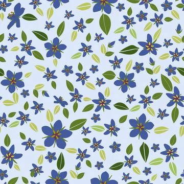 Blue pimpernel vector background illustration Stock Illustration
