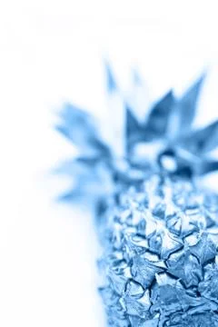 Blue pineapple element on white background Stock Illustration