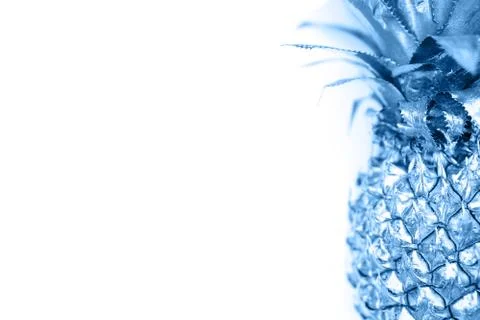 Blue pineapple on white background with space for text Stock Illustration