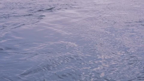Blue pink texture water surface small waves slow motion move form ripples at sun 스톡 동영상 265782105
