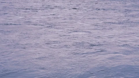 Blue pink texture water surface small waves slow motion move form ripples at sun 스톡 동영상 265782109