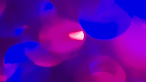 Blue Pink Vivid Flashes HD Pro Stock Footage 101818977