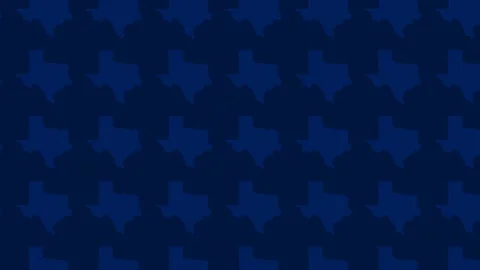 Blue Pixelated Texas Map Pattern Loop Motion Graphic Background. Stock Footage 342018673